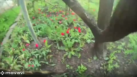 ✊ Failed attack by Russian FPV drone on Ukrainian military vehicle in Donetsk region .