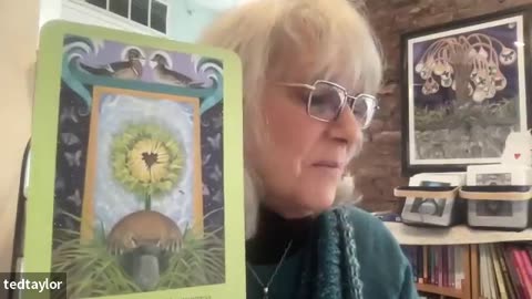 ORACLE CARDS INTERVIEW WITH NADINE TAYLOR