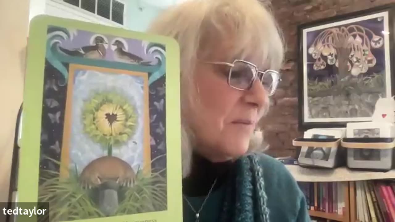 ORACLE CARDS INTERVIEW WITH NADINE TAYLOR