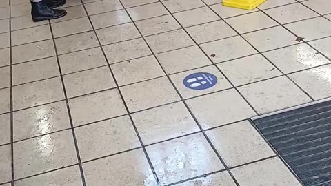 Fare Evasion on the London Underground