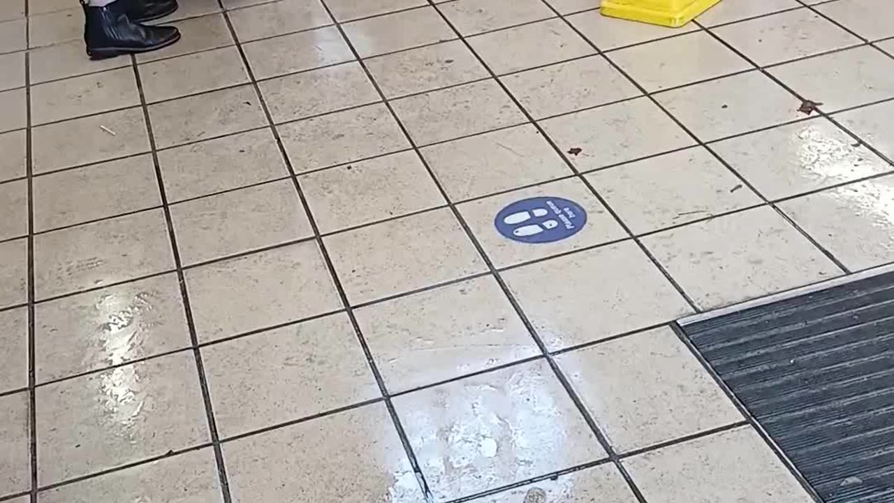 Fare Evasion on the London Underground