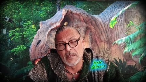 Narcissist Chronicles