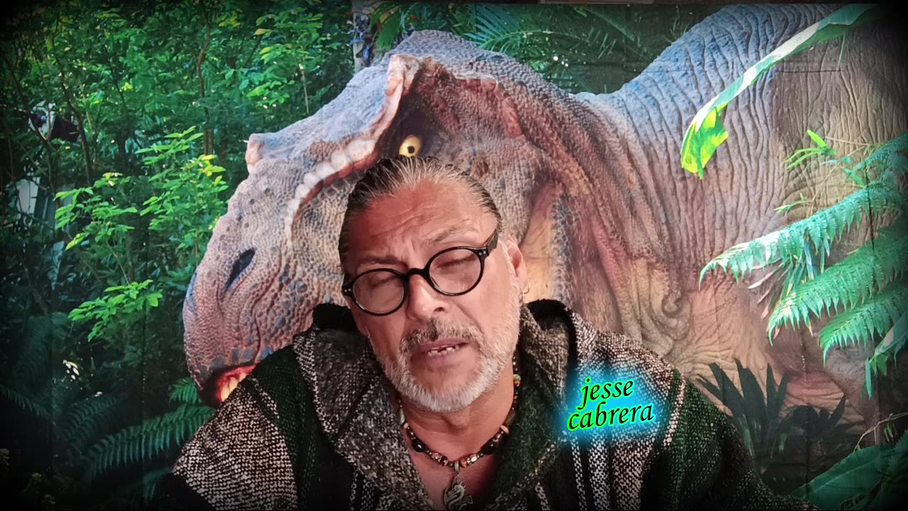 Narcissist Chronicles