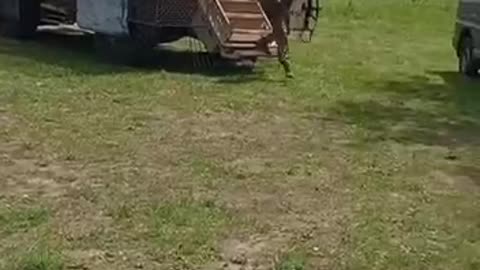🇺🇦🇺🇸 Ukrainian MRAPs "MaxxPro" are equipped with special cages to protect against FPV drones.