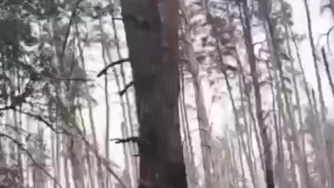 💪🕊️ Ukraine Russia War | Ukrainian Forces Capture Russian Soldiers for Exchange | RCF