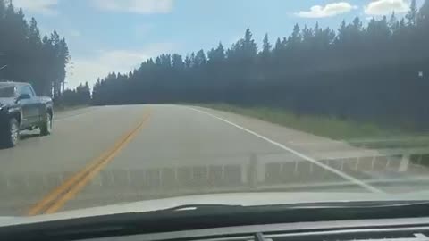 Shia, video recorded 3:15 PM July 28, '25 by Alyssa