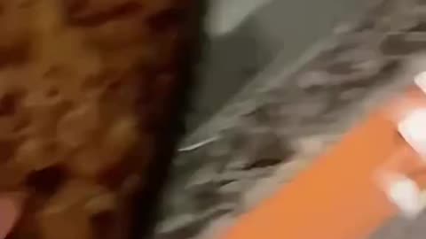Hungry