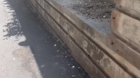 Denoncimi i Erion Braçes: Ja si zihet hapësira publike në mes të Tiranës