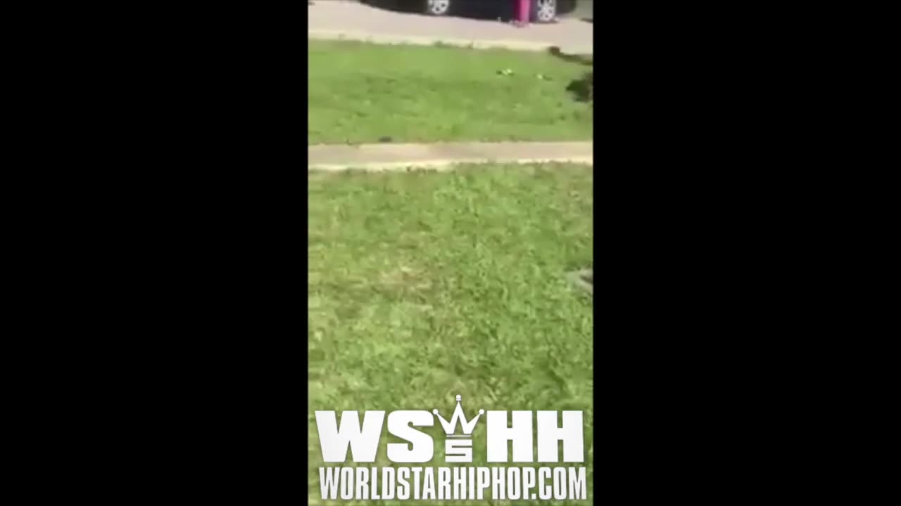 Shots Get Fired During A Fight At A Cemetery On Mothers Day (2016)