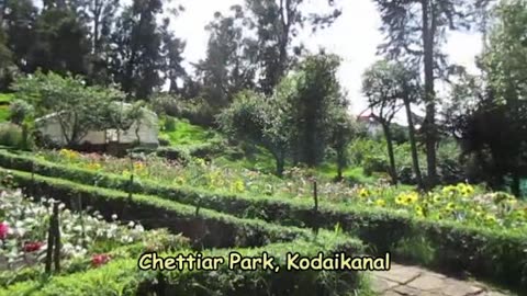 A Floral Paradise: Chettiar Park in Kodaikanal | Blooms, Birds & Tranquility