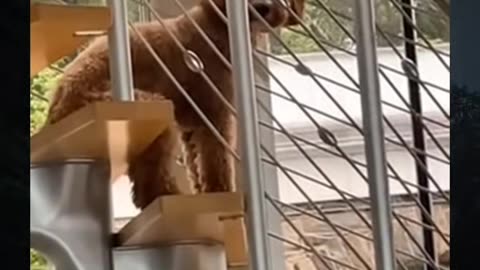 😱👻 You Won't Believe What They Caught on Camera! GhostlyTikSa Ouija Board Session | TheHauntingHour