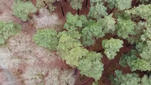 [4K] Beauty Of Nature | Drone Aerial View | Free stock footage | Free HD Videos - No Copyright