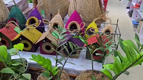 Geo Grow Bag শুধু সবজি নয়, শাক, ফুল, এমনকি ছোট ফল গাছও চাষ করা সম্ভব!
