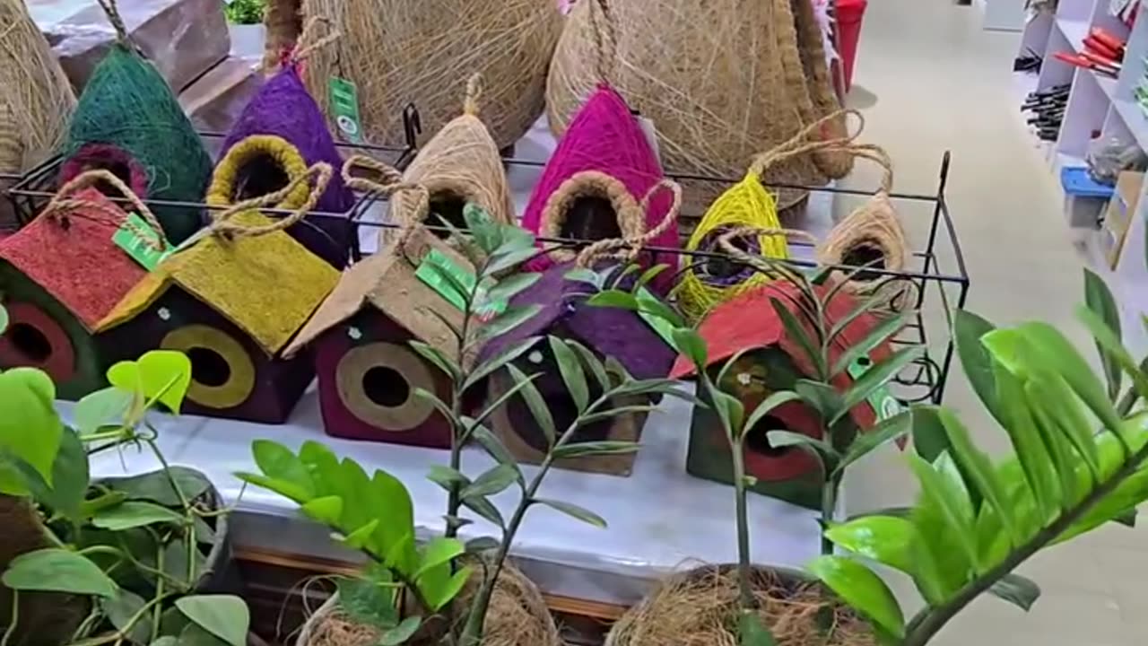 Geo Grow Bag শুধু সবজি নয়, শাক, ফুল, এমনকি ছোট ফল গাছও চাষ করা সম্ভব!
