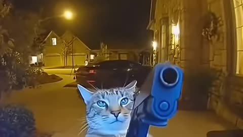 Grooming releases endorphins.