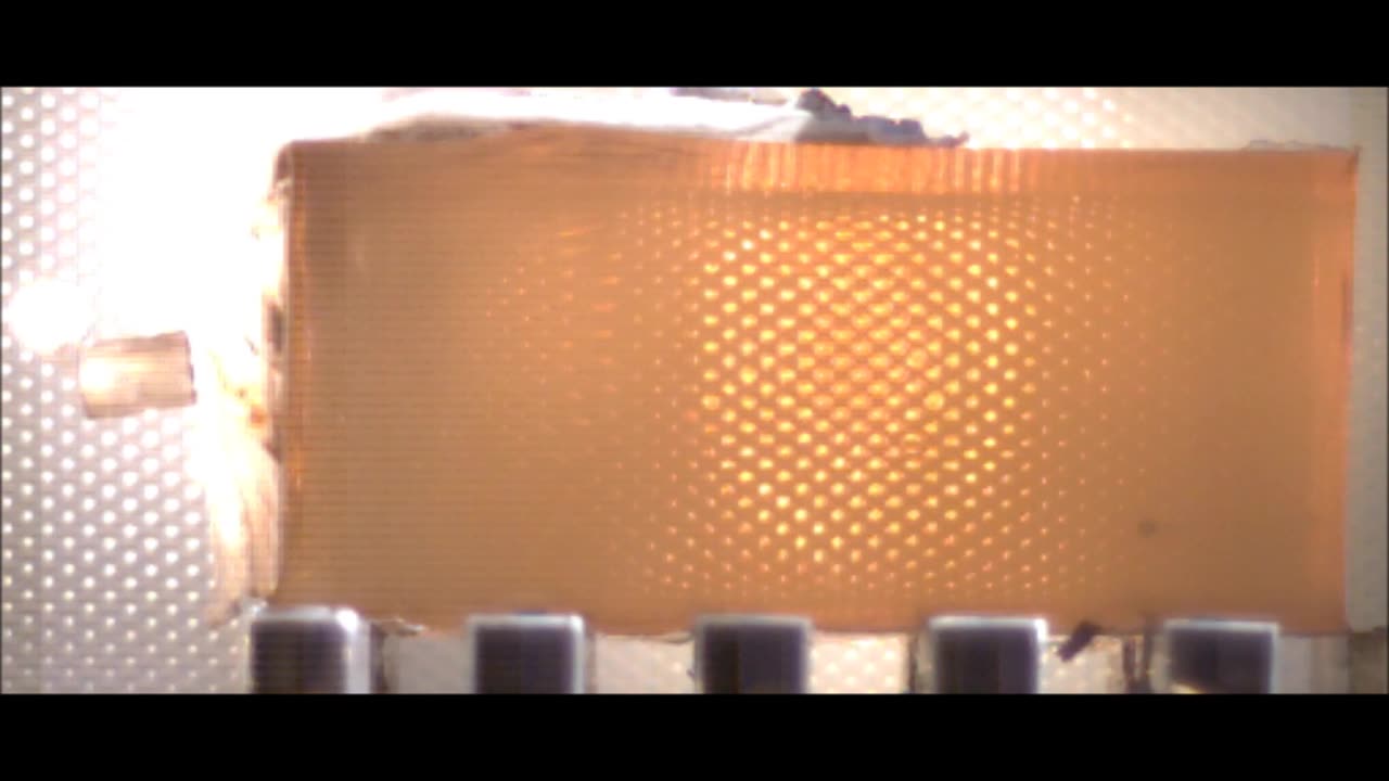 Exotic 12 Gauge Ammunition
