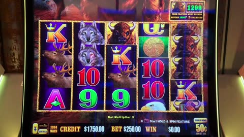🎲 CASINO SHOWDOWN LIVE: Will Luck Be on Our Side Tonight?