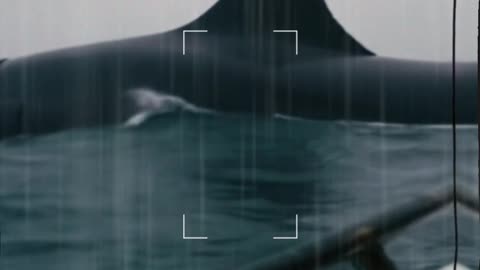 Megalodón captado