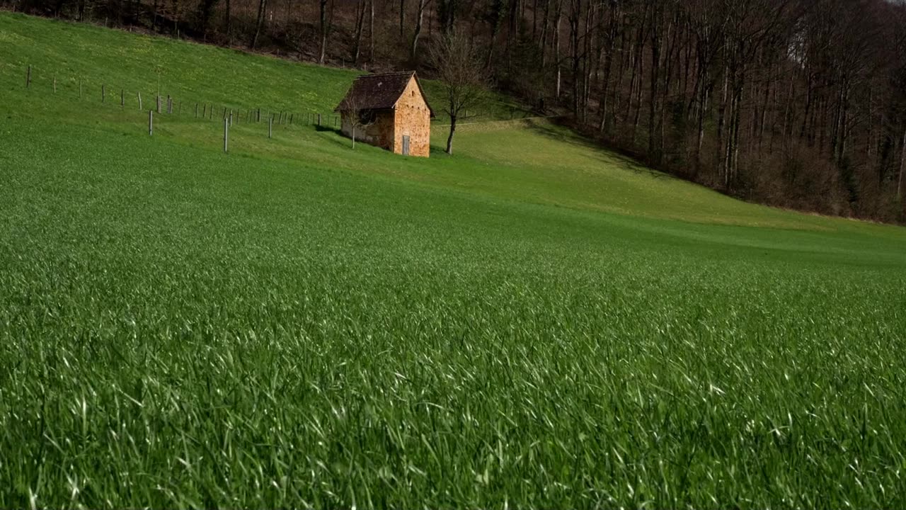 Meditation Music for Inner Peace | Relax, Heal, and Recenter
