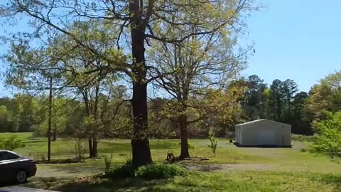 A SECLUDED FARMHOUSE TOUR 🐎🌾 | Peace, Quiet & Wild Animals!