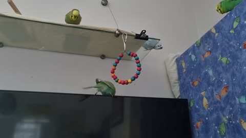 Smudge's Search, Part 539