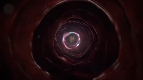 There is no death, Alan Watts