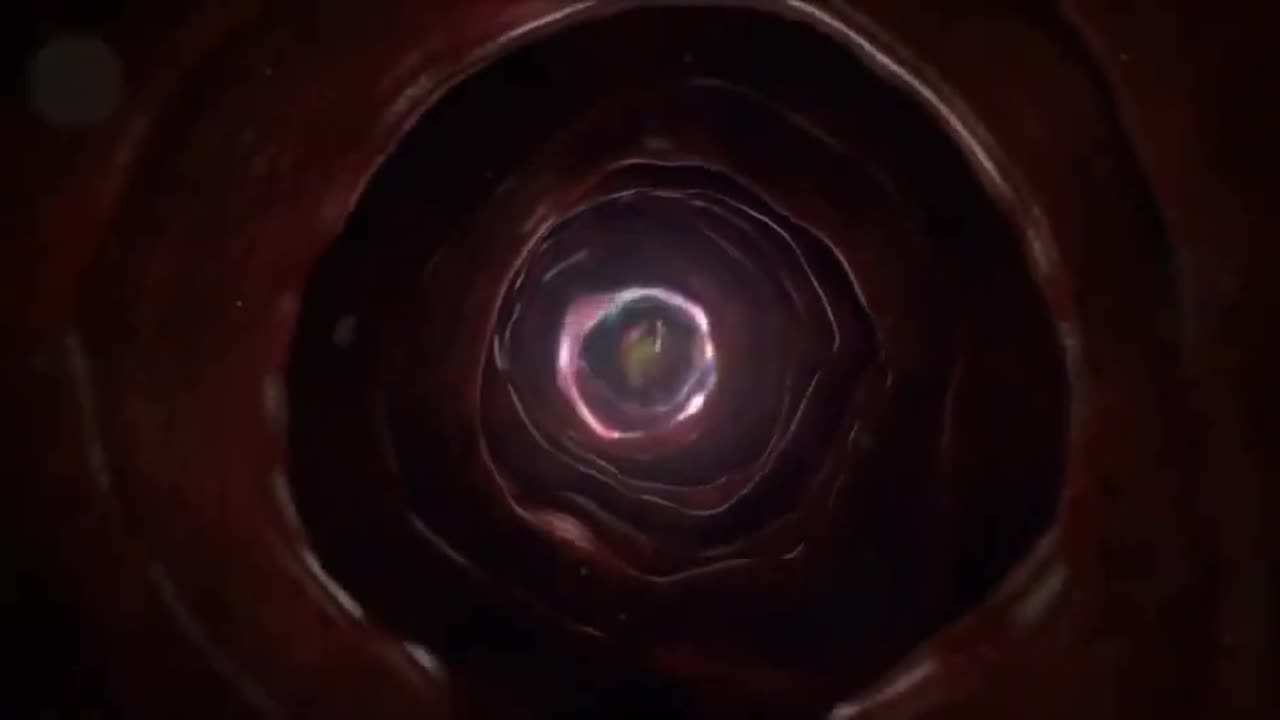 There is no death, Alan Watts