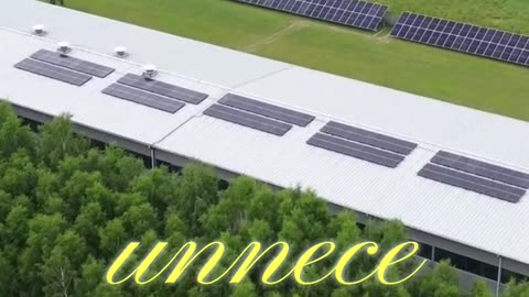 Examples of Blue Ocean Strategy