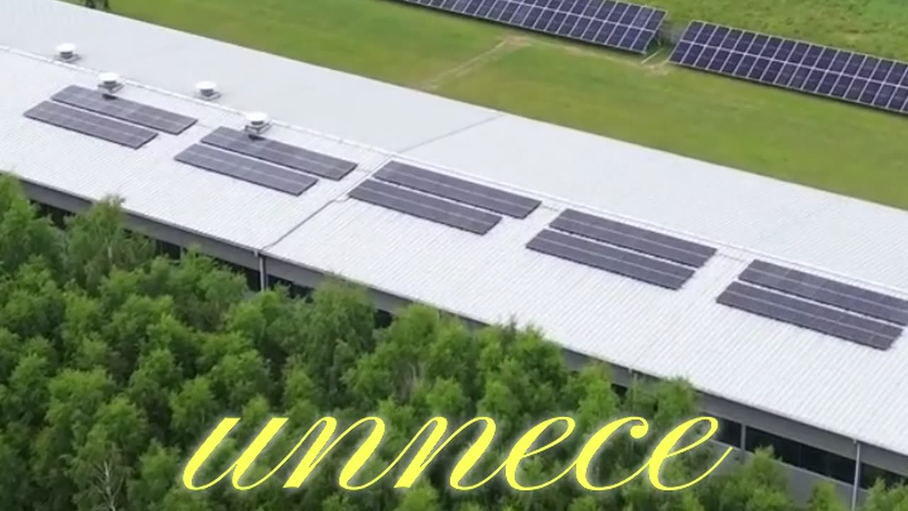 Examples of Blue Ocean Strategy