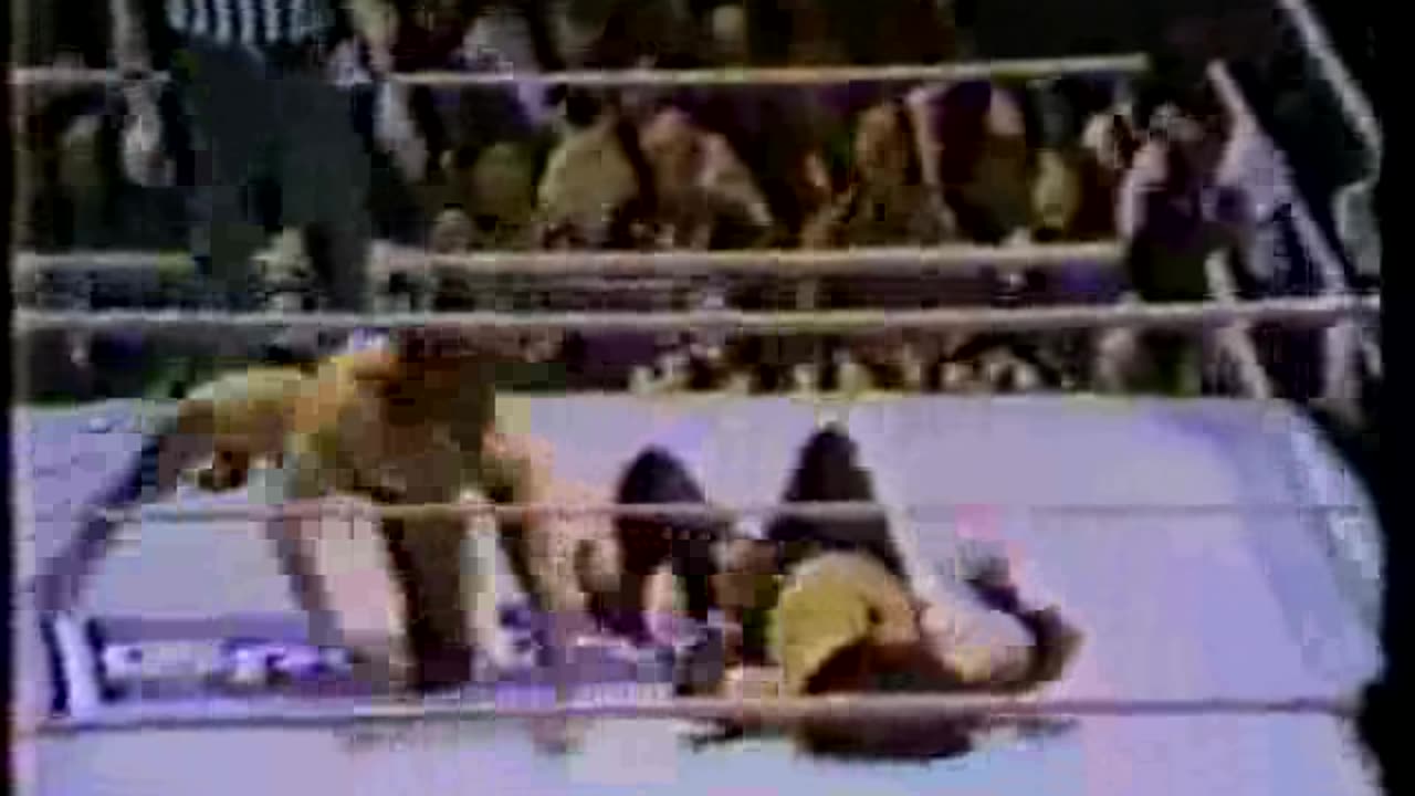 2-9-80 WWF Philadelphia Spectrum(incomplete)