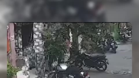 Try to Not Laugh Challenge No. 08 #funny #funnyvideo