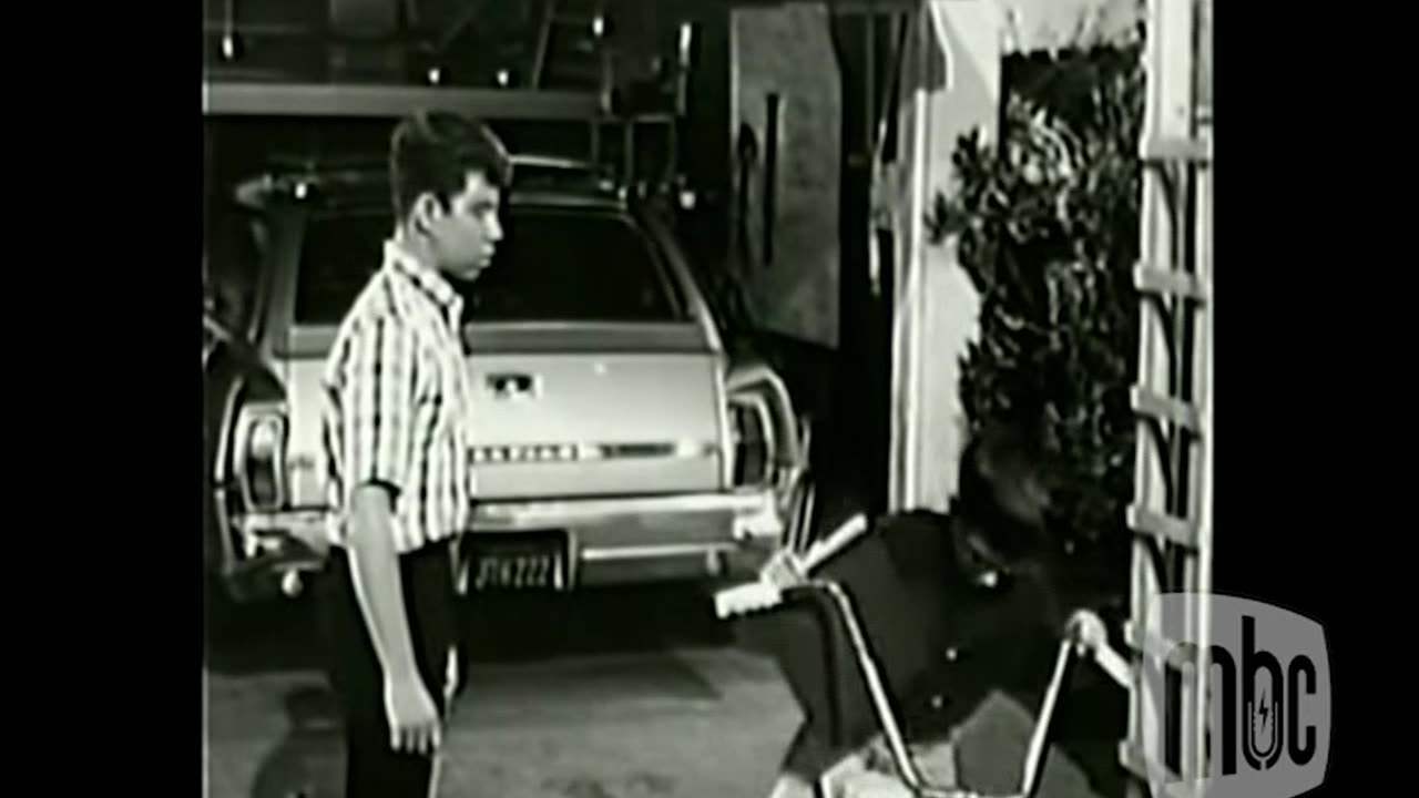 MY THREE SONS Kid Brother Blues (1966)