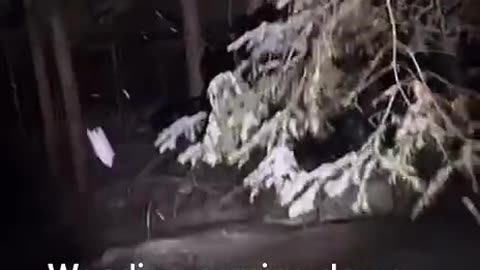 😱👻 Terrifying Wendigo Encounter in New York! | TheHauntingHour