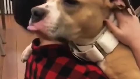 HUGGABLE WEDNESDAY 12/10/25 PT 2