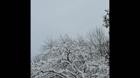 Ohio's first snowfall 2025.