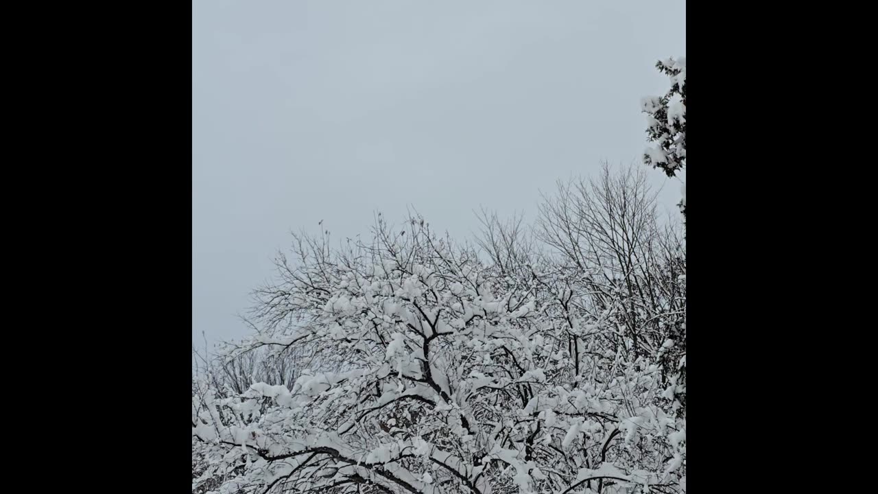 Ohio's first snowfall 2025.