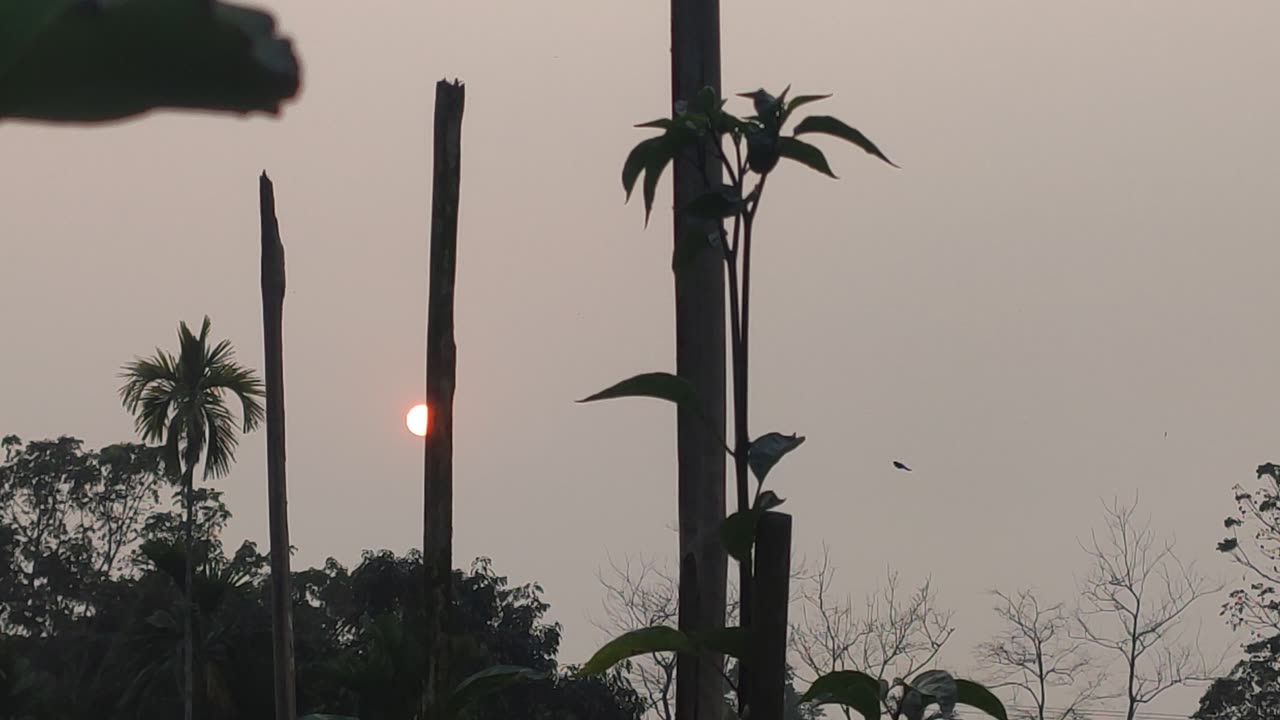 Sun going down