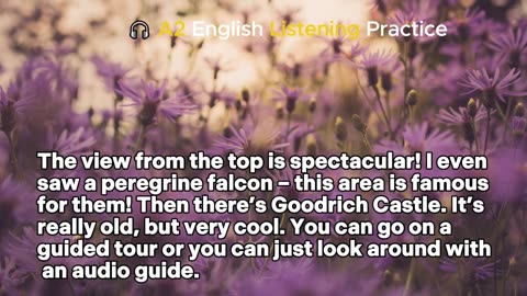 English Listening Practice - Level A2 - Episode 03 | Easy English Conversation for Beginner