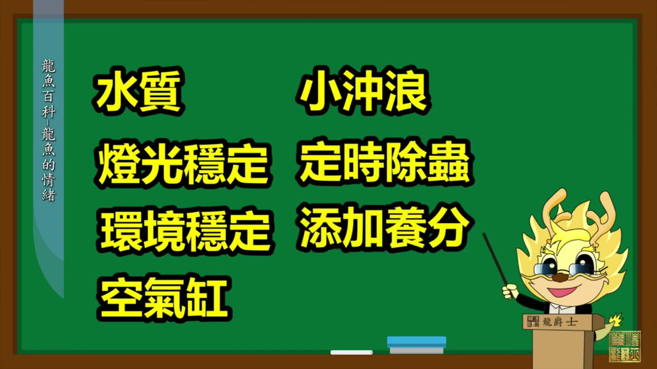 【龍爵士】龍魚百科 龍魚的情緒