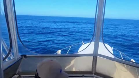 LIVE: Offshore Bluefin Tuna Fishing w/ Capt. Justin Bottrell (8/20/25)