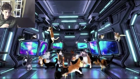 Over 20 Cats Roam Around A Spaceship Fake Funny Parody Video With Live Commentary