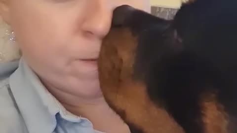 Priceless love from a dog 💕