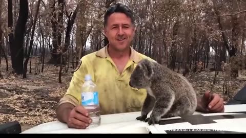 Humans Helping Animals. Every life matters, no matter how small.