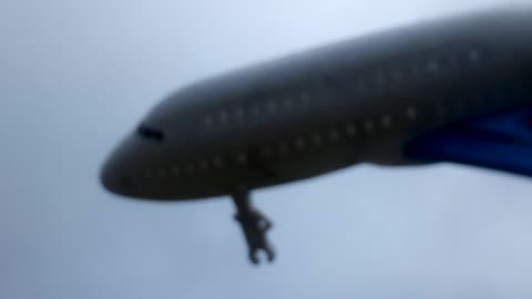 Dog witnesses horrific air crash