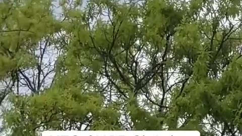 👽🛸 Shocking UFO Sighting in Charlotte! | TheTruthAbove