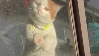 🧐🤔 This Is What Curiosity Looks Like! | FunFM
