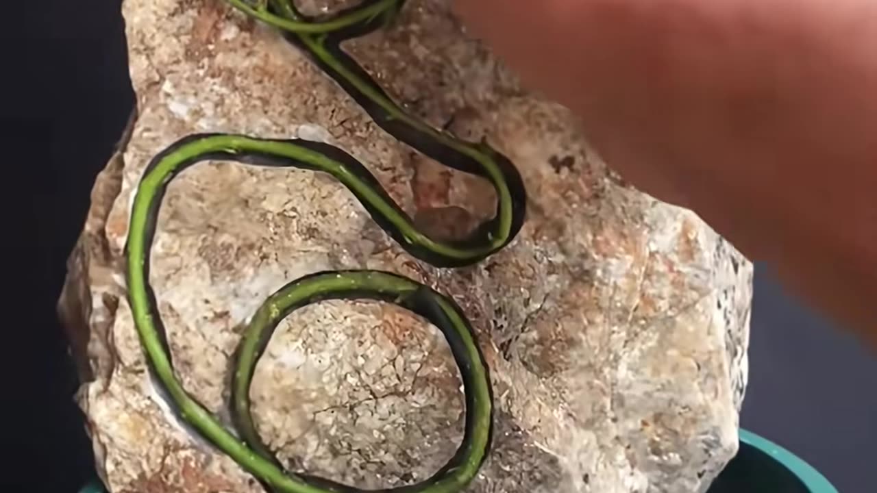 ✨🚿 The Ultimate Closet Organization System! | LifeHacksDaily