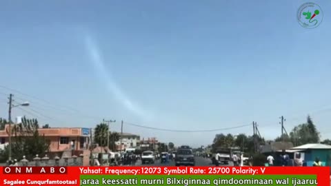 Oduu Waaree ONM-ABO Sadaasa 9-2025 itti dhiyaadhaa!