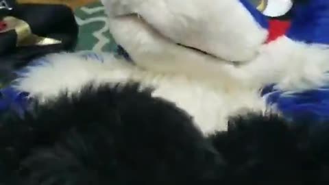 .