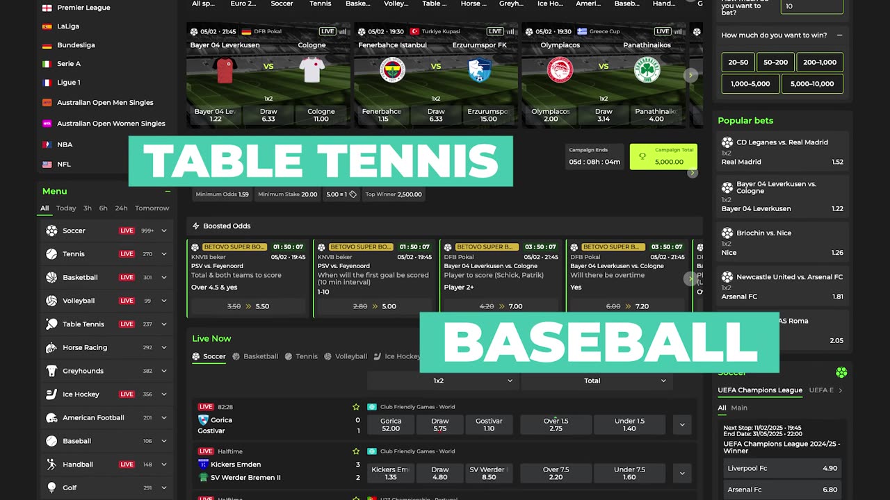 🚀 Top 3 Bitcoin Betting Sites in Ireland – Best Crypto Sportsbooks in 2025! 🇮🇪🏆